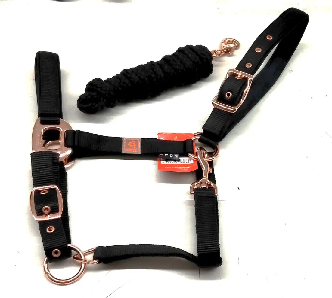 Black leather harness saddle stirrup — Equestrian goods sourced from India by Straight to Source