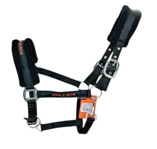 Saddle harness black — Equestrian goods sourced from India by Straight to Source